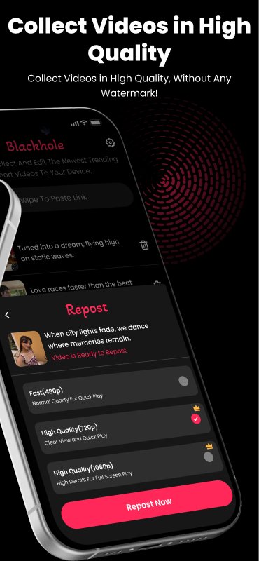 New Tiktok Downloader 2