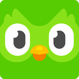Duolingo - Language Lessons & success app